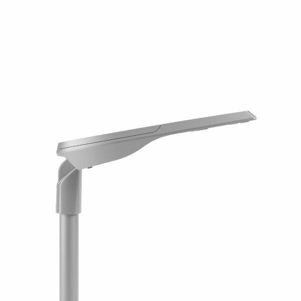 Carandini Veka - Image 3