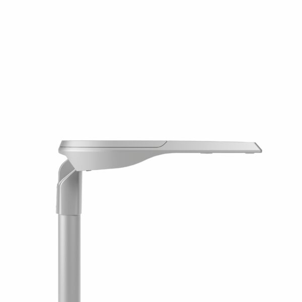 Carandini Veka - Image 4