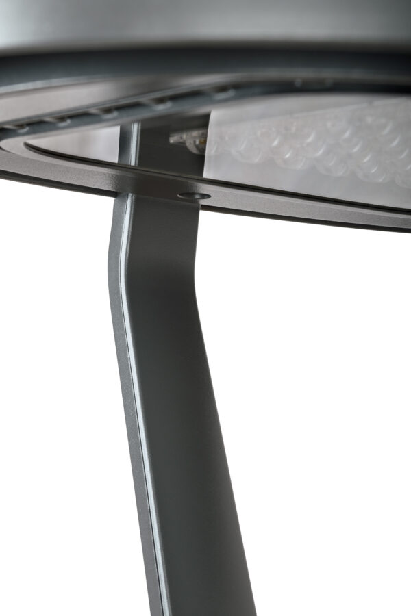 Carandini Century - Image 7