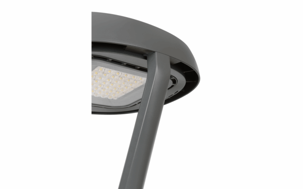 Carandini Century - Image 10