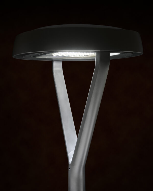 Carandini Century - Image 3