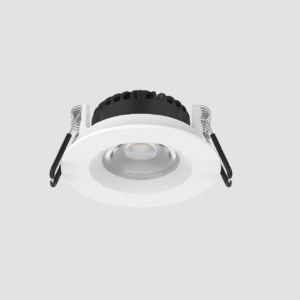 FluxxLED Fixed Lens Downlight
