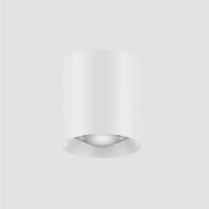 FluxxLED Surface Mount Fixed Downlight